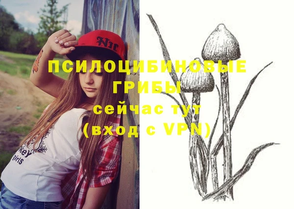 2c-b Гусев