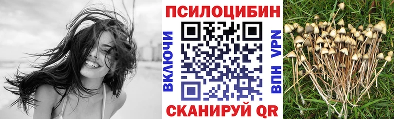 kraken вход  Бобров  Галлюциногенные грибы мухоморы 